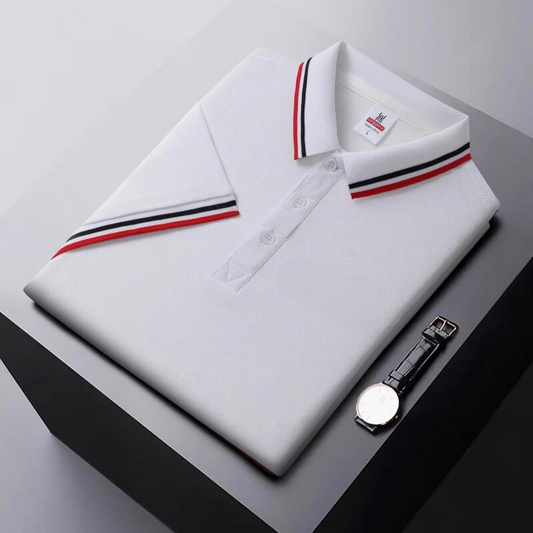 Men's Polo Shirt – Regular Fit – Breathable Comfort – Striped Collar Casual Look