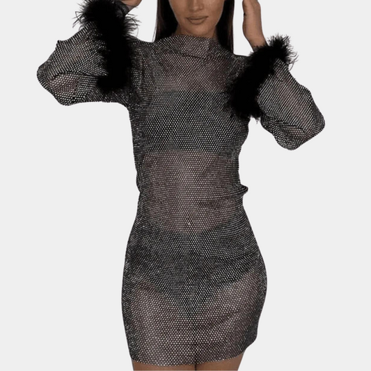 Women's Mini Dress - High Neck - Sheer Fabric - Feather Details - Long Sleeves