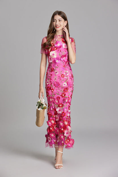 Dress for Women – Maxi Dress with Form-Fitting Design – Embroidered Mesh and High Neck